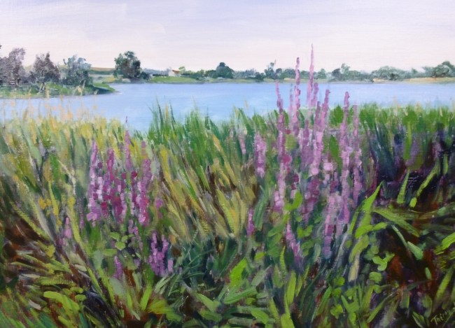 L’étang de Montchanin