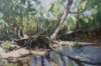 Reflets sur le Clain 1