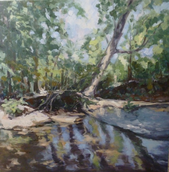 Reflets sur le Clain 1